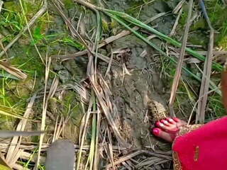 Jungle Ganne Ke Khet Me Chod Diya Bhabhi Ko Desi Outdoor | xHamster