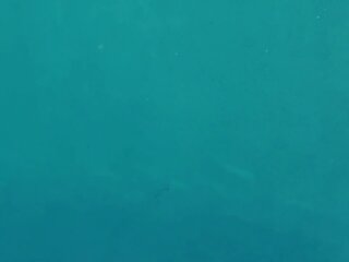 Underwater Hottest Gymnastics by Micha Gantelkina: adult movie b8 | xHamster